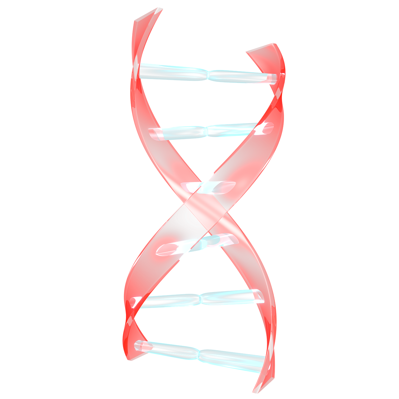 Helix,  Dnr,  Mokslas,  Spiralė,  Biologija,  Genetinis,  Nemokama Iliustracijos, Nemokamos Nuotraukos,  Nemokama Licenzija