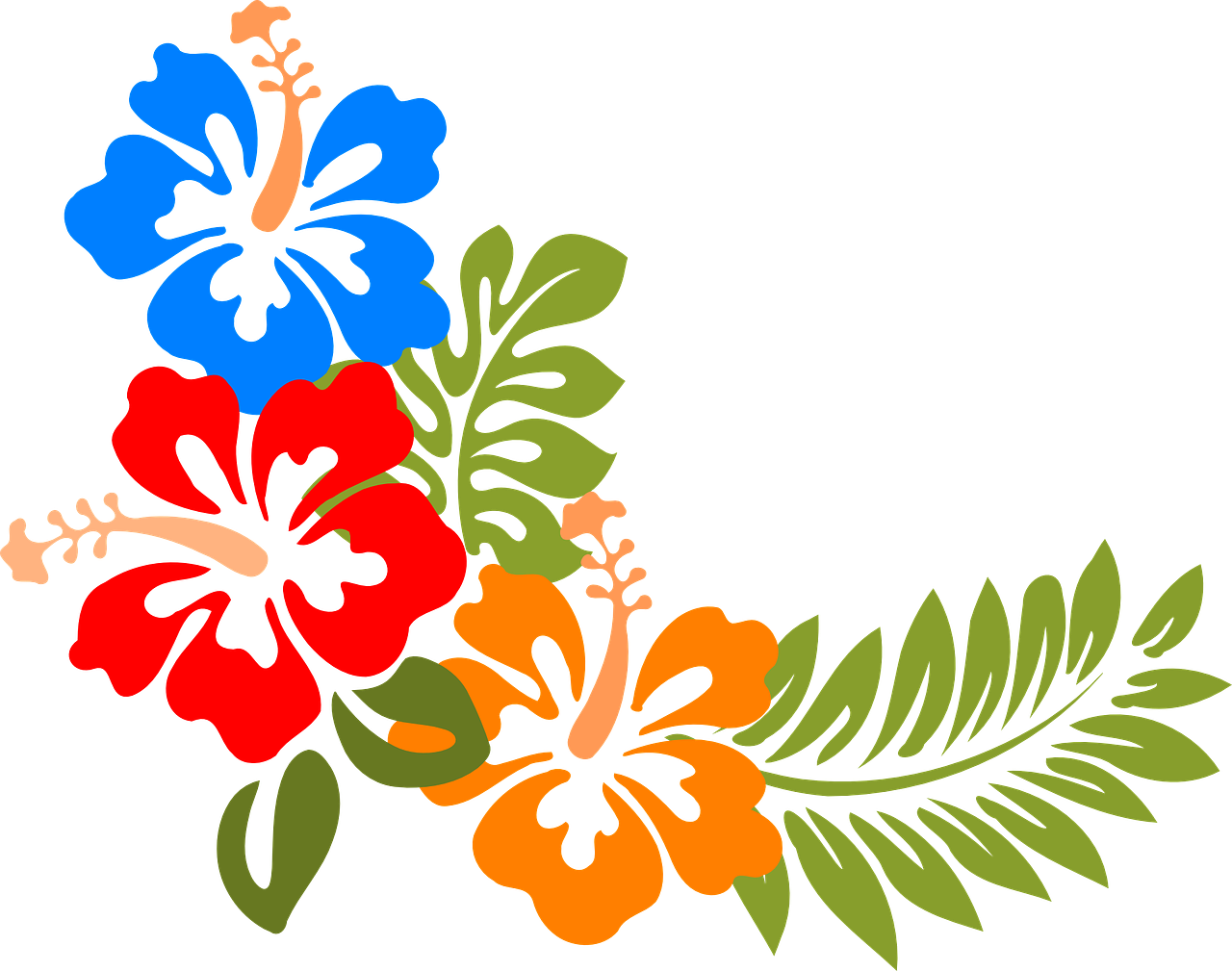 Hibiscus, Hawaii, Gėlės, Atogrąžų, Spalvinga, Pavasaris, Vasara, Natūralus, Augalas, Žiedas