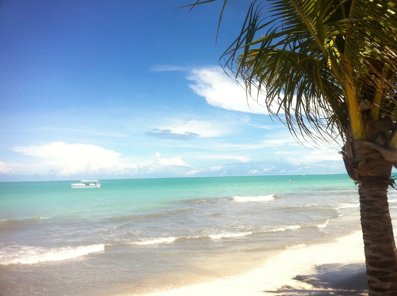 Hibiscus Beach, Alagoas, Šiaurės Zona, Papludimys, Atogrąžų, Egzotiškas, Palmė, Vandenynas, Mar, Vasara