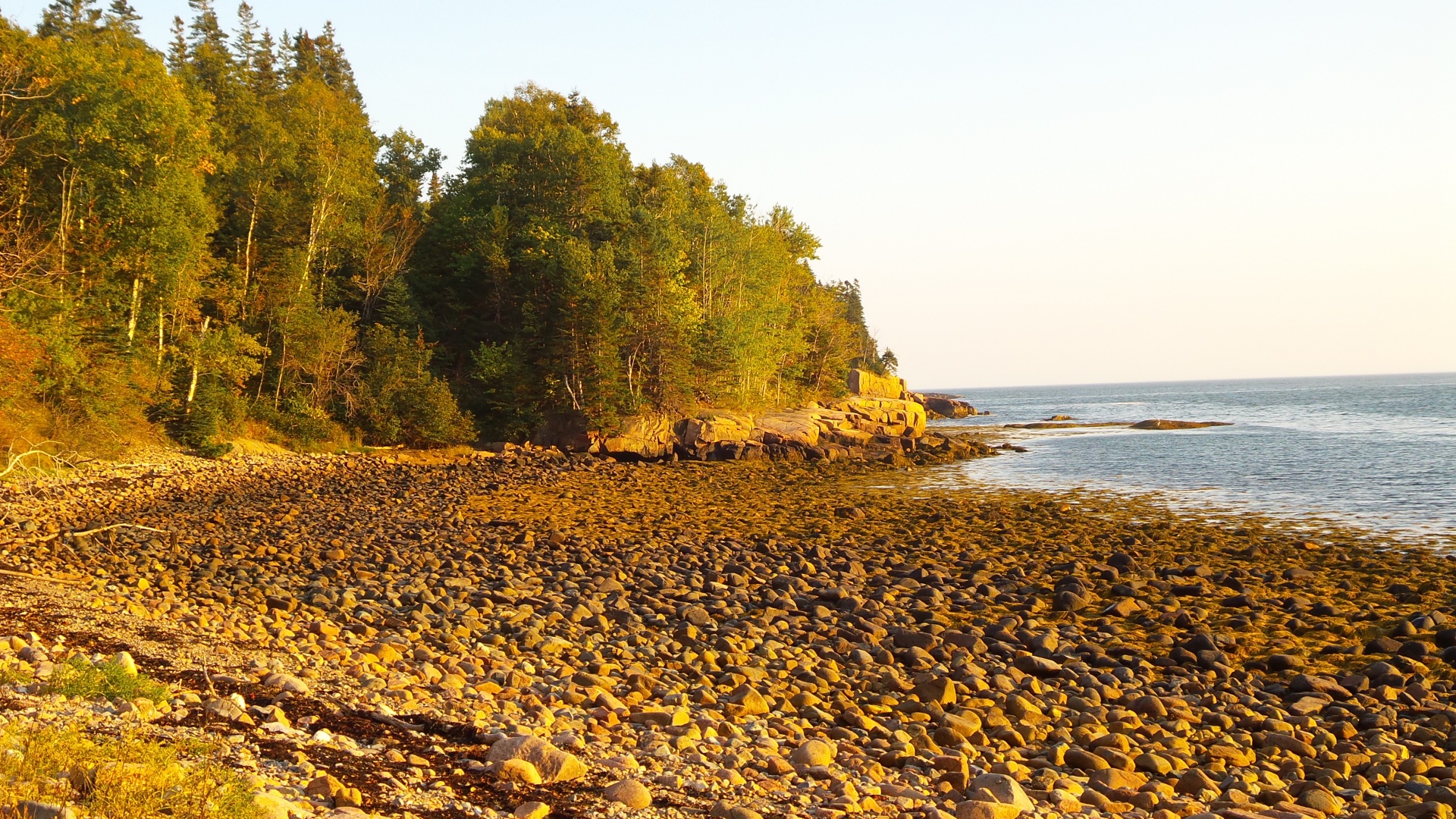 Cove,  Pakrantė,  Kranto Linija,  Vandenynas,  Uostas,  Sd,  Akmenys,  Jūra & Nbsp,  Žolė,  Akadija