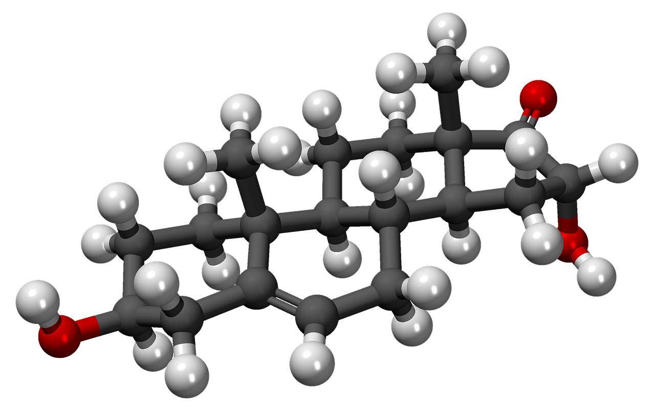 Hidroksido-Hidroepiandrosterona, Ed, Rutulys, Stick, Hidroksildehidroepiandrosteronas, Steroliai, Molekulė, Chemija, Komponentas, Junginys