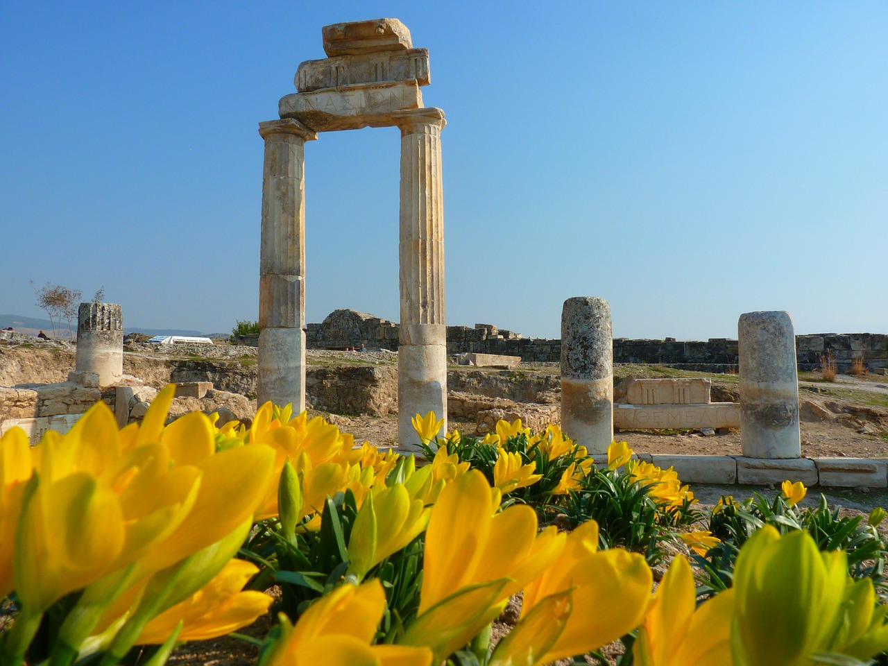 Hierapolis, Pamukalė, Sugadinti, Senovės, Unesco, Rudens Krokusas, Nemokamos Nuotraukos,  Nemokama Licenzija