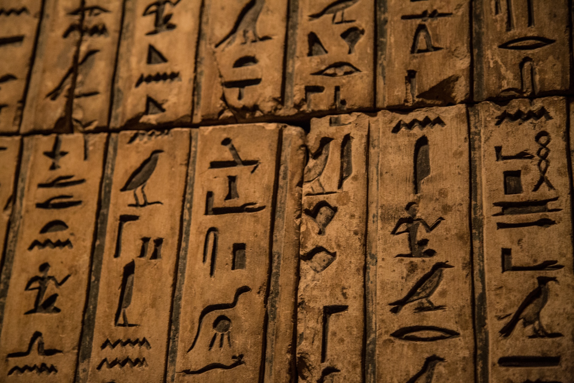 Egiptas,  Hieroglifas,  Hieroglifas,  Egyptian,  Senovės,  Siena,  Luxor,  Senas,  Faraonas,  Menas