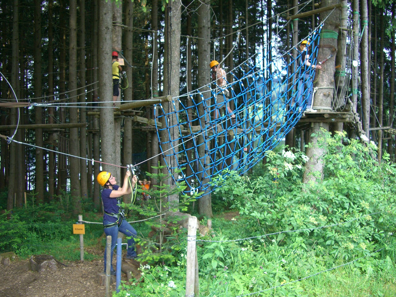 Aukštas Lynų Kursas, Laipiojimo Miškas, Gruentensee, Haslach, Allgäu, Nuotykis, Linksma, Lipti, Virvių Technologija, Virvė