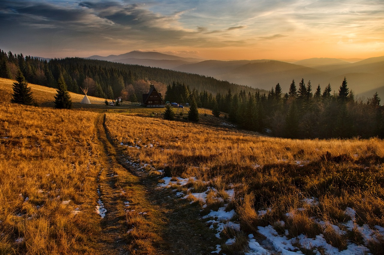 Highland, Žolė, Medžiai, Augalai, Miškas, Kraštovaizdis, Gamta, Lauke, Kalnas, Debesis