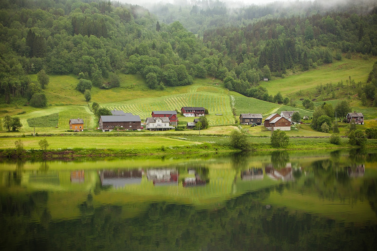 Highland, Žalias, Žolė, Medžiai, Augalas, Gamta, Kalnas, Kraštovaizdis, Namai, Laukas