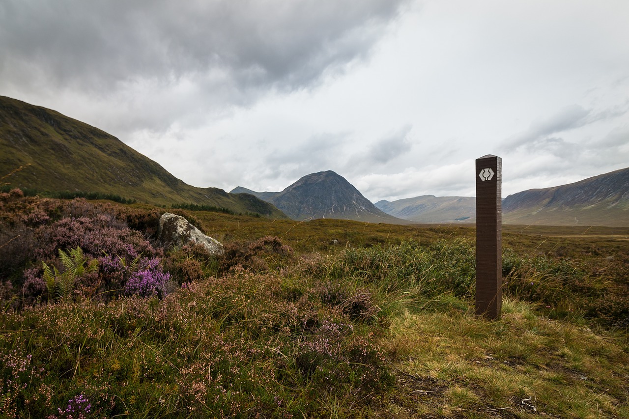 Highland, Kalnas, Žalias, Žolė, Gėlė, Gamta, Kraštovaizdis, Pole, Nemokamos Nuotraukos,  Nemokama Licenzija