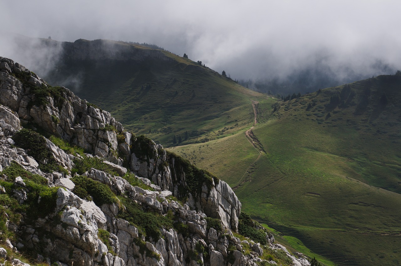 Highland, Kalnas, Medžiai, Augalai, Gamta, Kraštovaizdis, Žalias, Žolė, Kelias, Rūkas