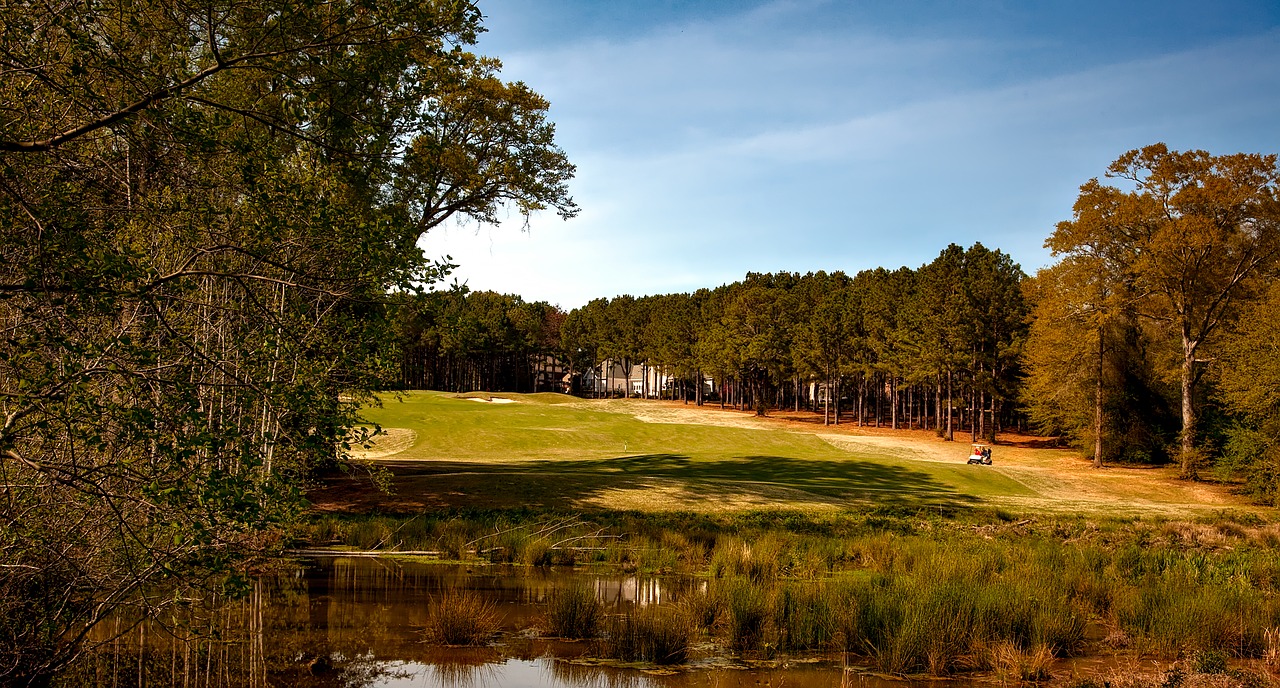 Aukštuminiai Ąžuolai, Golfo Laukas, Kritimas, Ruduo, Medžiai, Kraštovaizdis, Golfas, Sportas, Alabama, Hdr