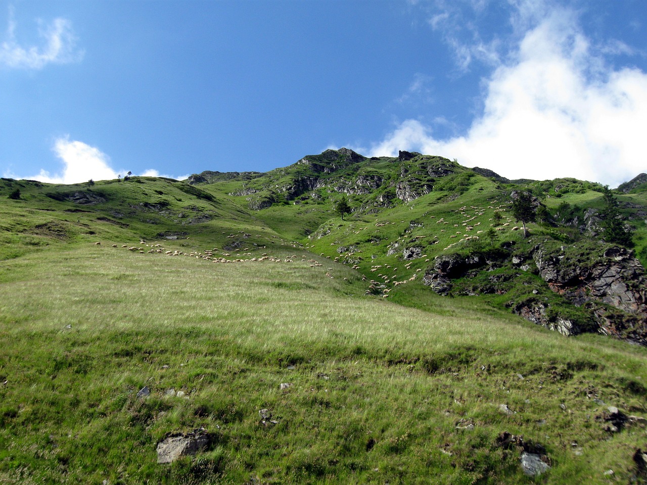 Highlands, Karpatai, Kalnas, Kraštovaizdis, Lauke, Aplinka, Turizmas, Avys, Ganykla, Dangus