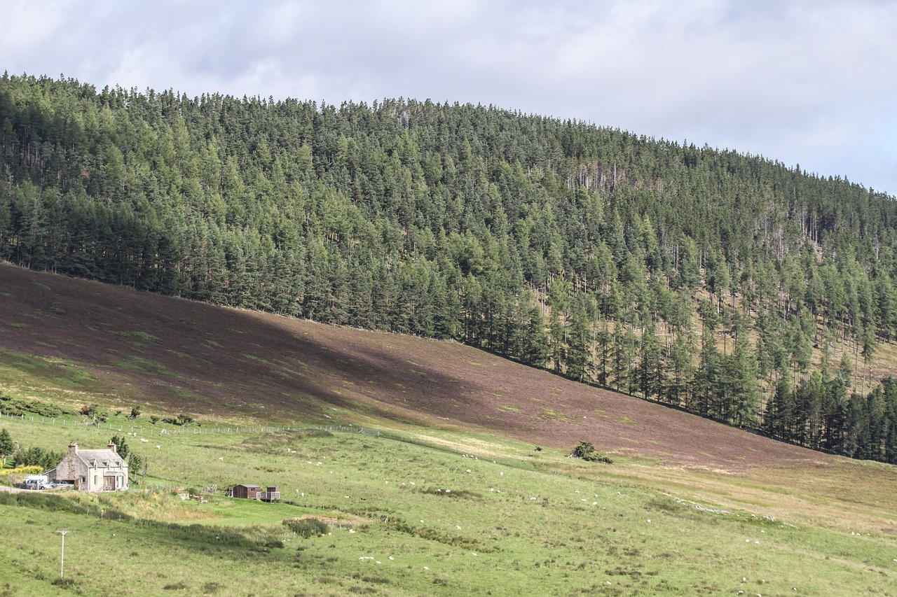 Aukštumų Ir Salų, Škotija, Debesys, Kraštovaizdis, Gamta, Highlands, Nuotaika, Nemokamos Nuotraukos,  Nemokama Licenzija