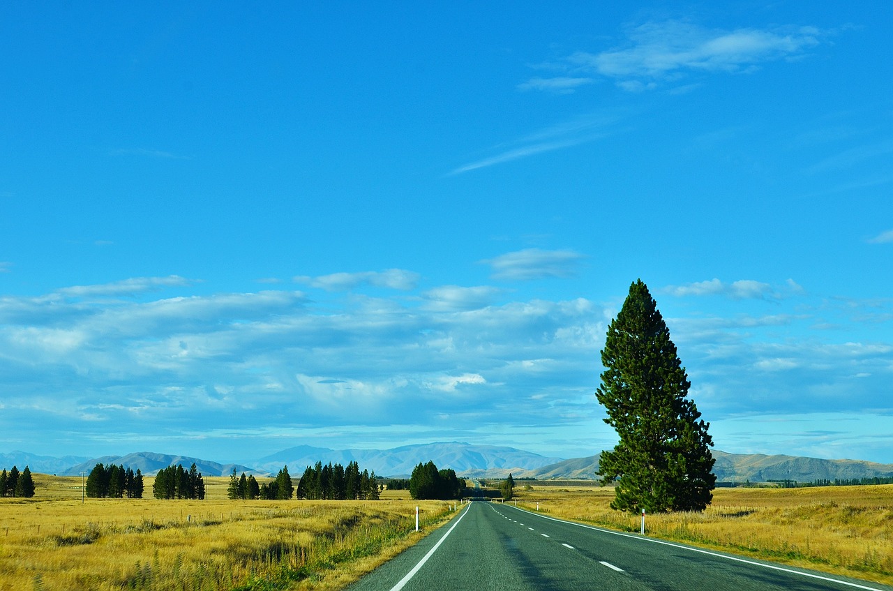 Greitkelis, Kraštovaizdis, Mėlynas Dangus, Naujoji Zelandija, Nemokamos Nuotraukos,  Nemokama Licenzija