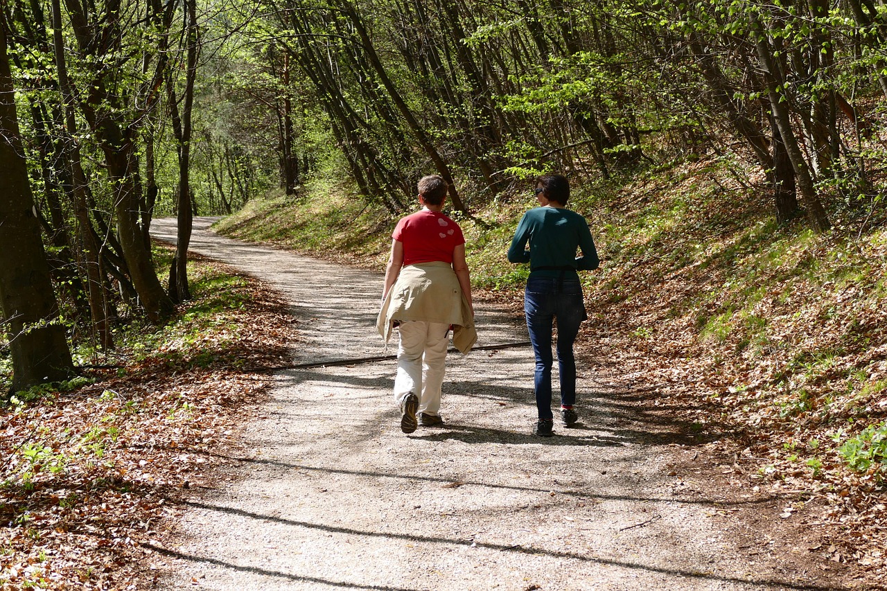 Žygiai, Miškas, Gamta, Toli, Promenada, Migracijos Kelias, Nemokamos Nuotraukos,  Nemokama Licenzija