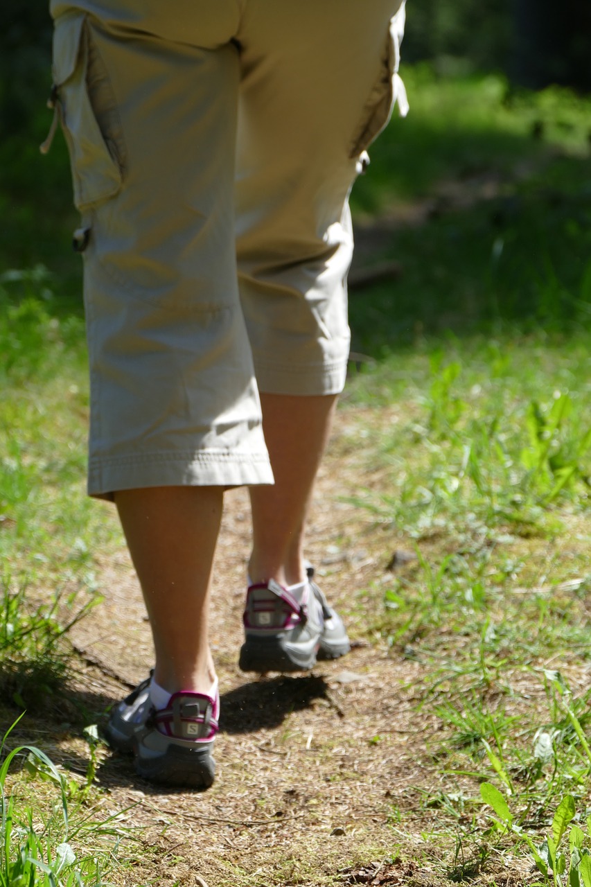 Žygiai, Keliautojas, Žmogus, Gamta, Miškas, Toli, Miško Takas, Kojos, Nemokamos Nuotraukos,  Nemokama Licenzija