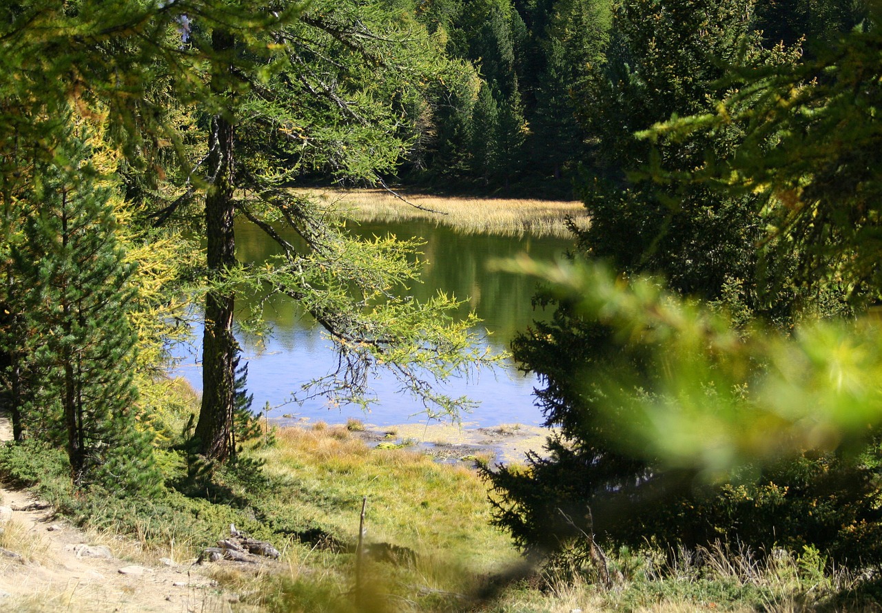 Žygiai, Tvenkinys, Biotopa, Kraštovaizdis, Alpių, Ruduo, Gamta, Valais, Šveicarija, Saulė