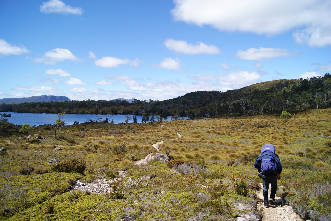 Žygiai, Sausumos Keliai, Tasmanija, Windermere, Ežeras, Parkas, Nacionalinis, Sausumos, Trasa, Australia