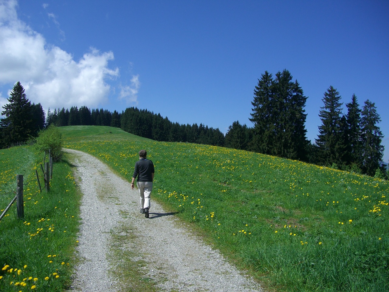 Žygiai, Vaikščioti, Takas, Keliautojas, Panoramos Takas, Oy Mittelberg, Dangus, Mėlynas, Debesys, Frisch