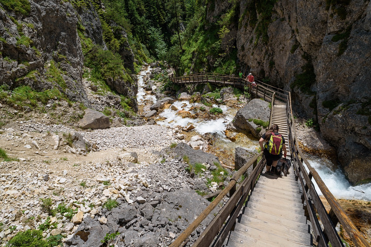 Žygiai, Šaligatvis, Toli, Kelias, Palaipsniui, Nusileidimas, Migracijos Kelias, Gorge, Kalnai, Kietas