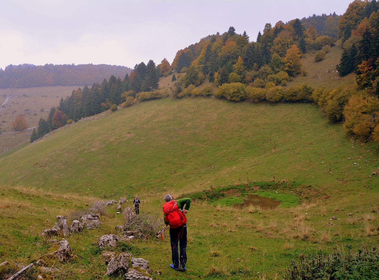 Žygiai, Vaikščioti, Ruduo, Takas, Medžiai, Miškas, Pasivaikščiojimas, Kuprinė, Europinis Kelias, E5