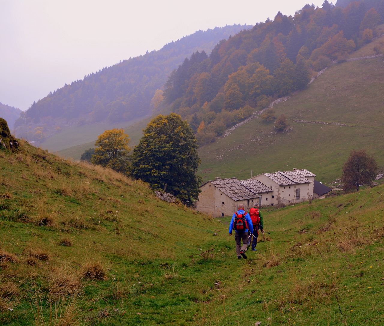 Žygiai, Vaikščioti, Ruduo, Borgo, Namai, Takas, Medžiai, Miškas, Pasivaikščiojimas, Kuprinė