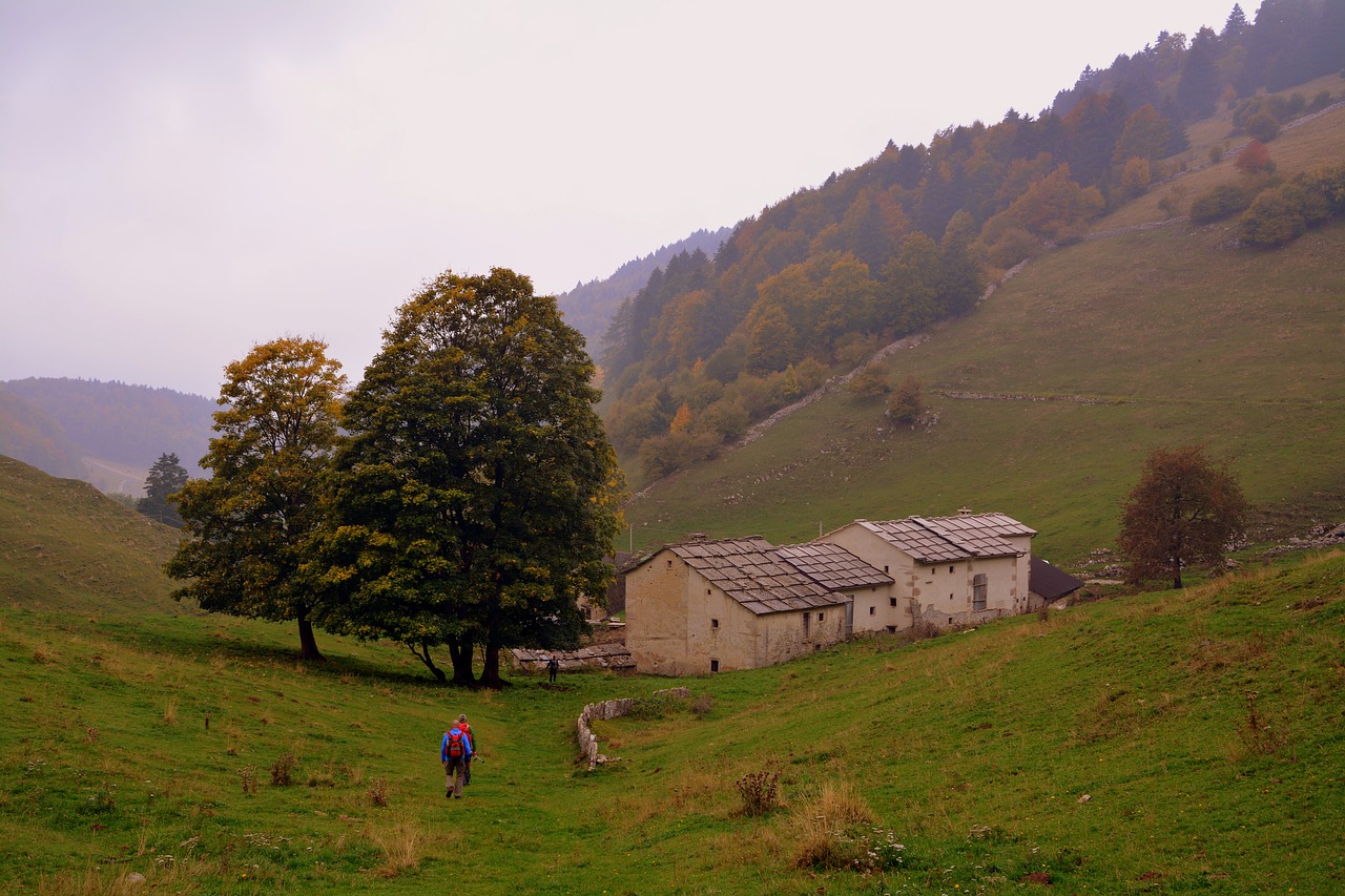 Žygiai, Vaikščioti, Ruduo, Borgo, Namai, Takas, Medžiai, Miškas, Pasivaikščiojimas, Kuprinė