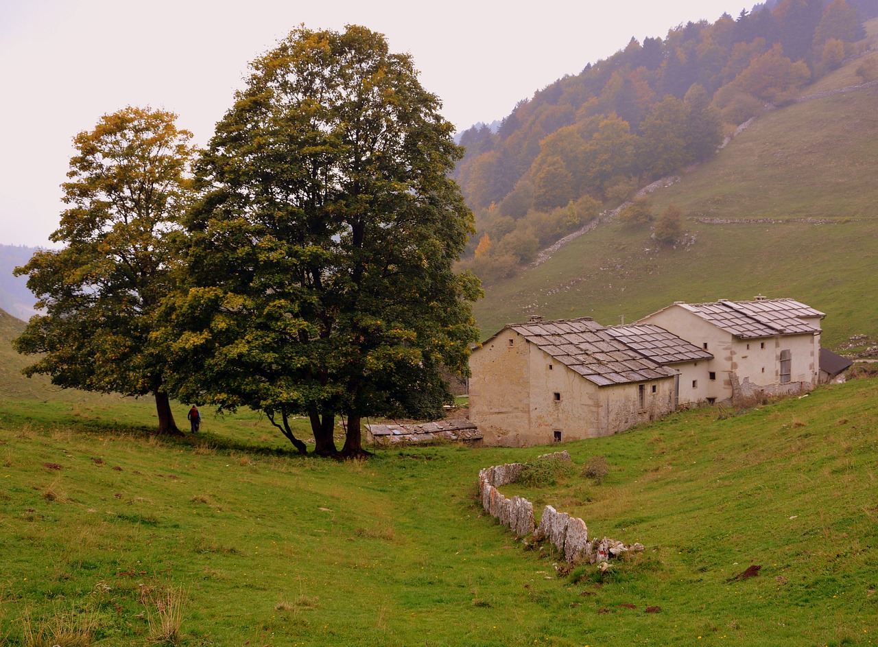 Žygiai, Medžiai, Borgo, Namai, Ruduo, Takas, Miškas, Europinis Kelias, E5, Lessinia