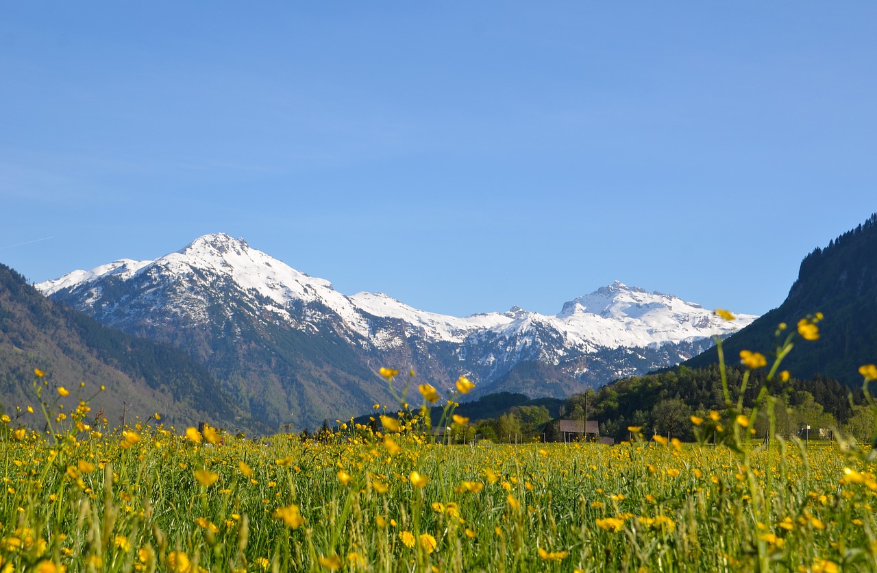 Žygiai,  Alpine,  Kraštovaizdis,  Šveicarija,  Turizmas,  Glarus,  Kalnai,  Toli,  Medis,  Pavasaris