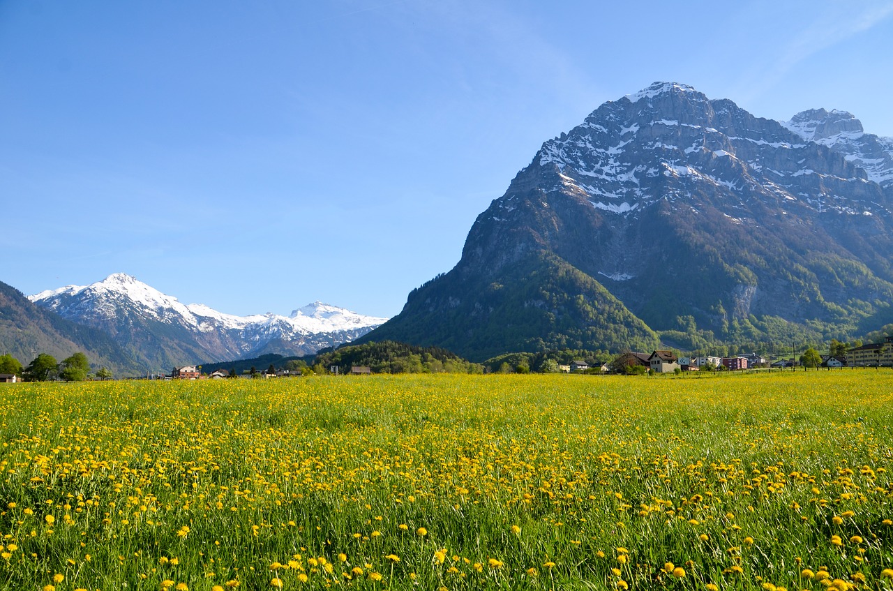 Žygiai,  Alpine,  Kraštovaizdis,  Šveicarija,  Turizmas,  Glarus,  Kalnai,  Toli,  Medis,  Pavasaris