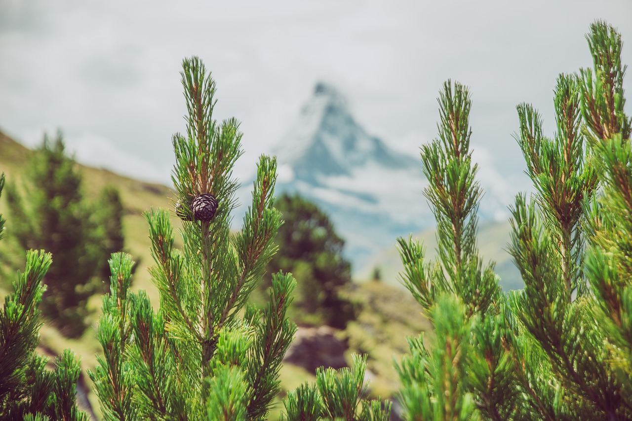 Žygiai,  Takas,  Kalnų Žygiai,  Kalnai,  Valais,  Šveicarija,  Alpine,  Matterhorn,  Pobūdį,  Kraštovaizdis