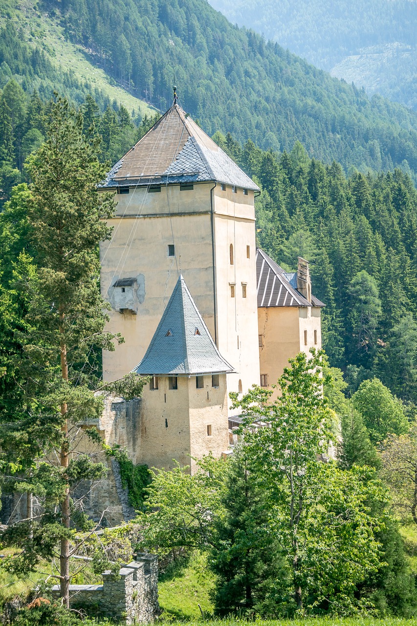 Žygiai,  Pilis,  Architektūra,  Viduramžiai,  Akmuo,  Statyba,  Istorija,  Kraštovaizdis,  Panorama,  Pobūdį