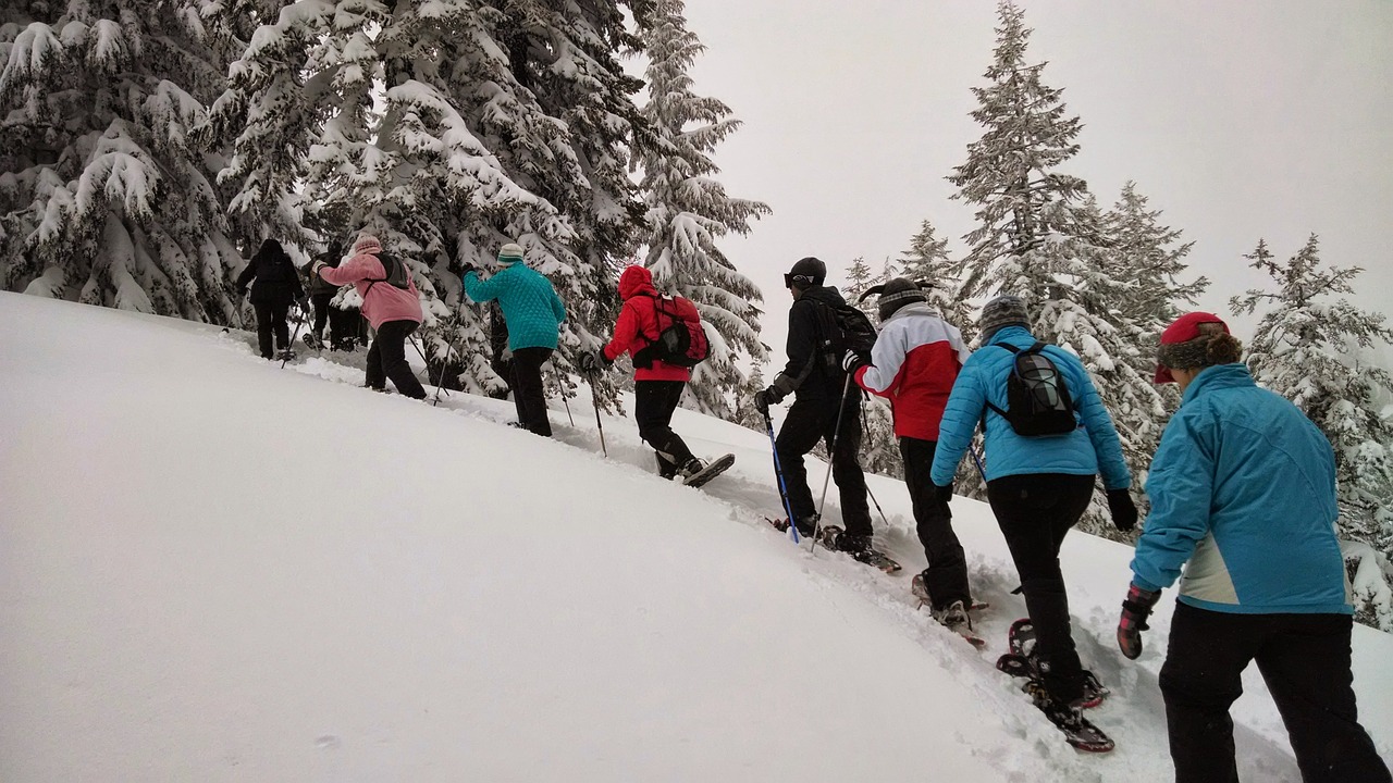 Žygiai, Snowshoeing, Kelionė, Sniegas, Medžiai, Miškas, Žiema, Sezonas, Gamta, Šaltas