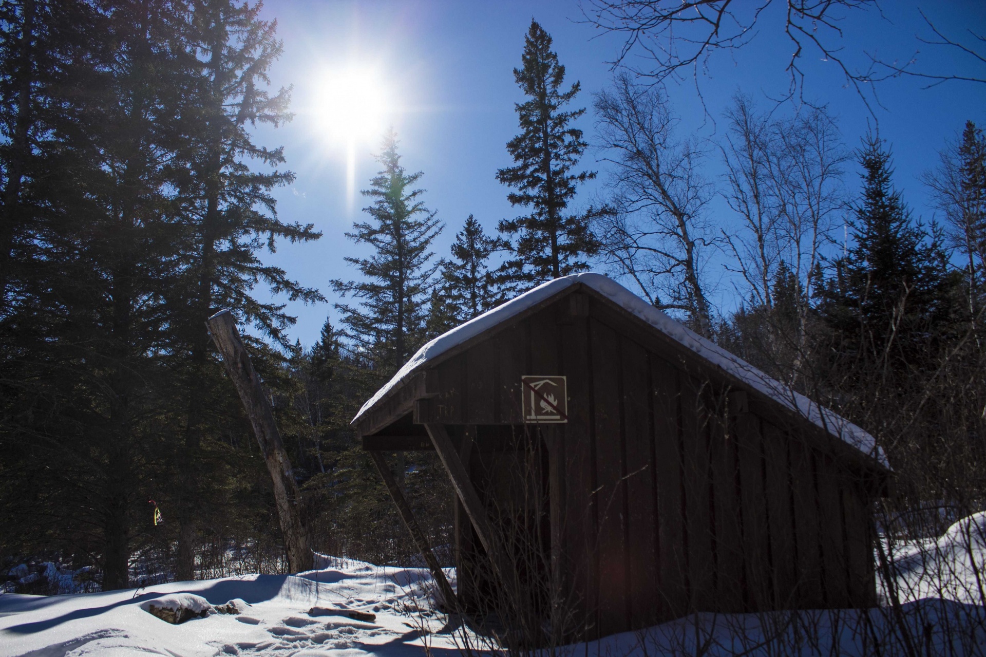 Laukiniai,  Gamta,  Žiema,  Peizažas,  Saulė,  Manitoba,  Žygiai,  Snowshoeing,  Žiemą Pasivaikščiojimas, Nemokamos Nuotraukos