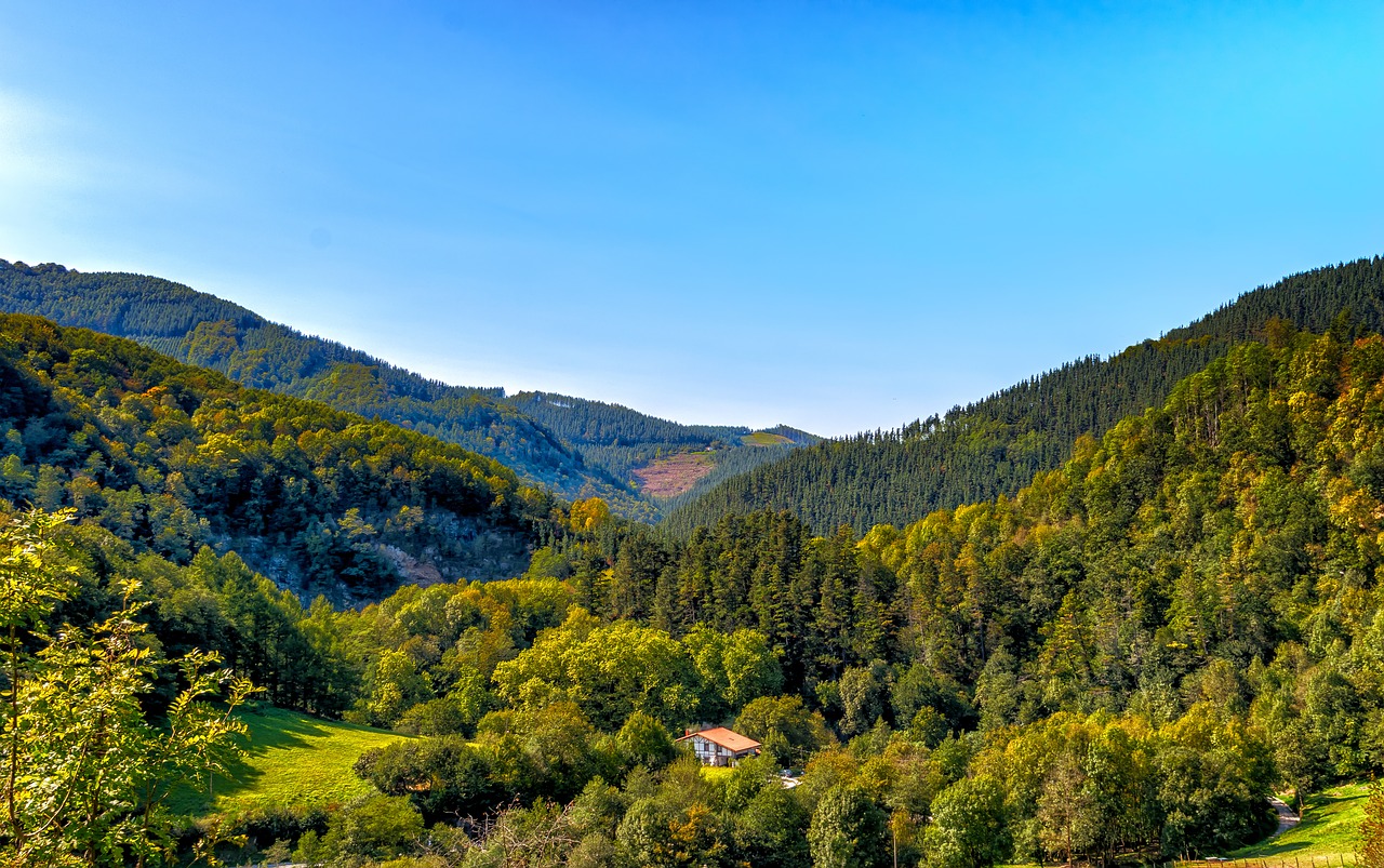 Kalnas, Slėnis, Kraštovaizdis, Gamta, Kalnai, Dangus, Miškas, Pieva, Miškai, Kalvotas