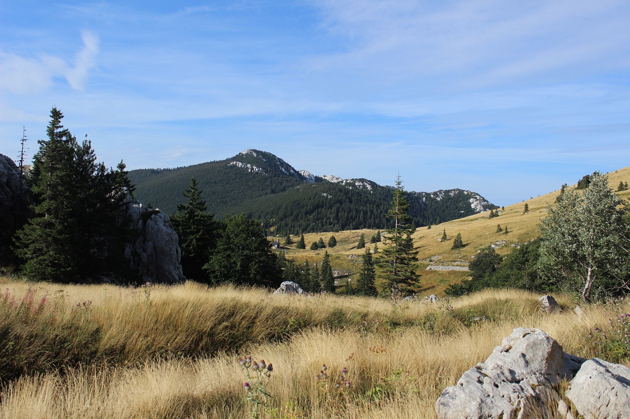 Kalvos, Kalnas, Laukas, Auksiniai Laukai, Kroatija, Pieva, Dangus, Debesys, Žygiai, Nemokamos Nuotraukos