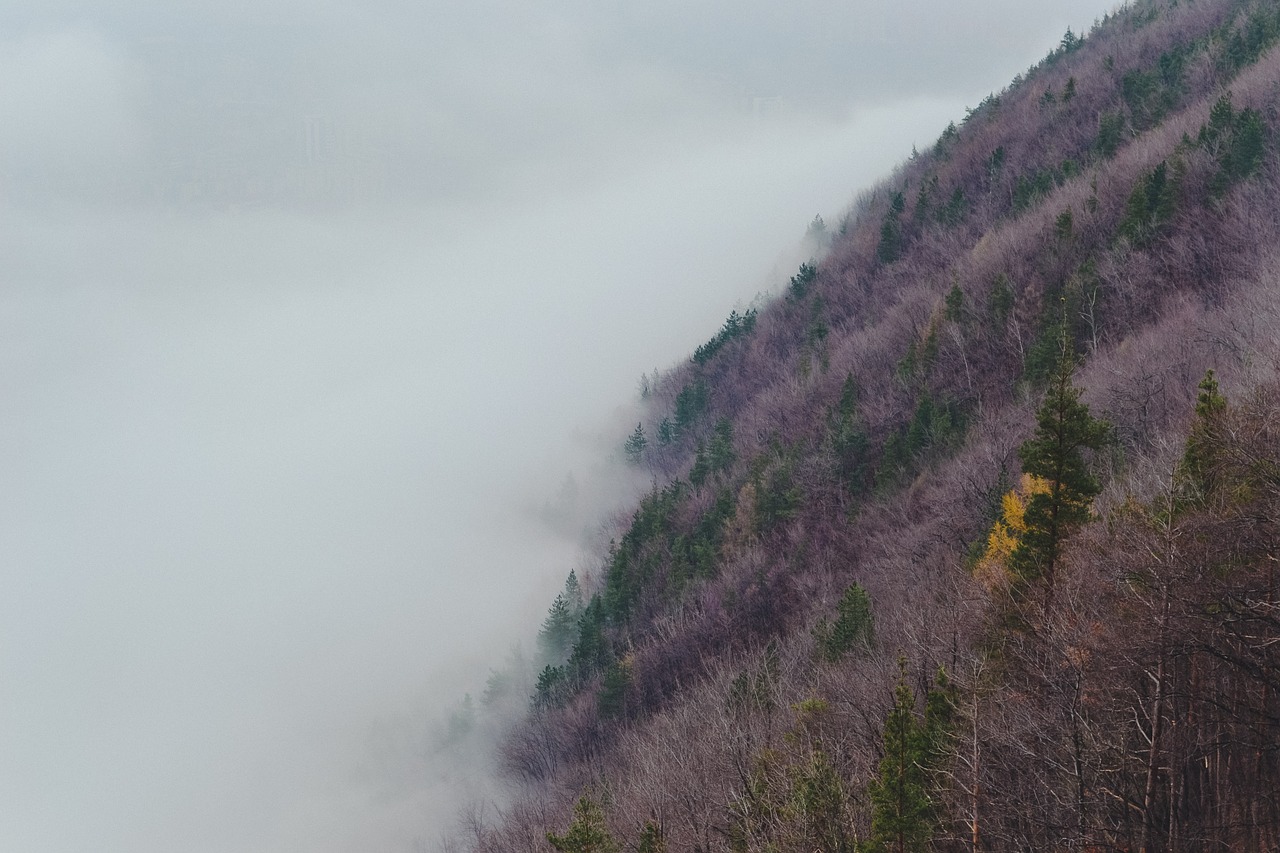 Hillside, Rūkas, Gamta, Kalnas, Rūkas, Lauke, Kalnas, Peizažas, Ruduo, Kritimas