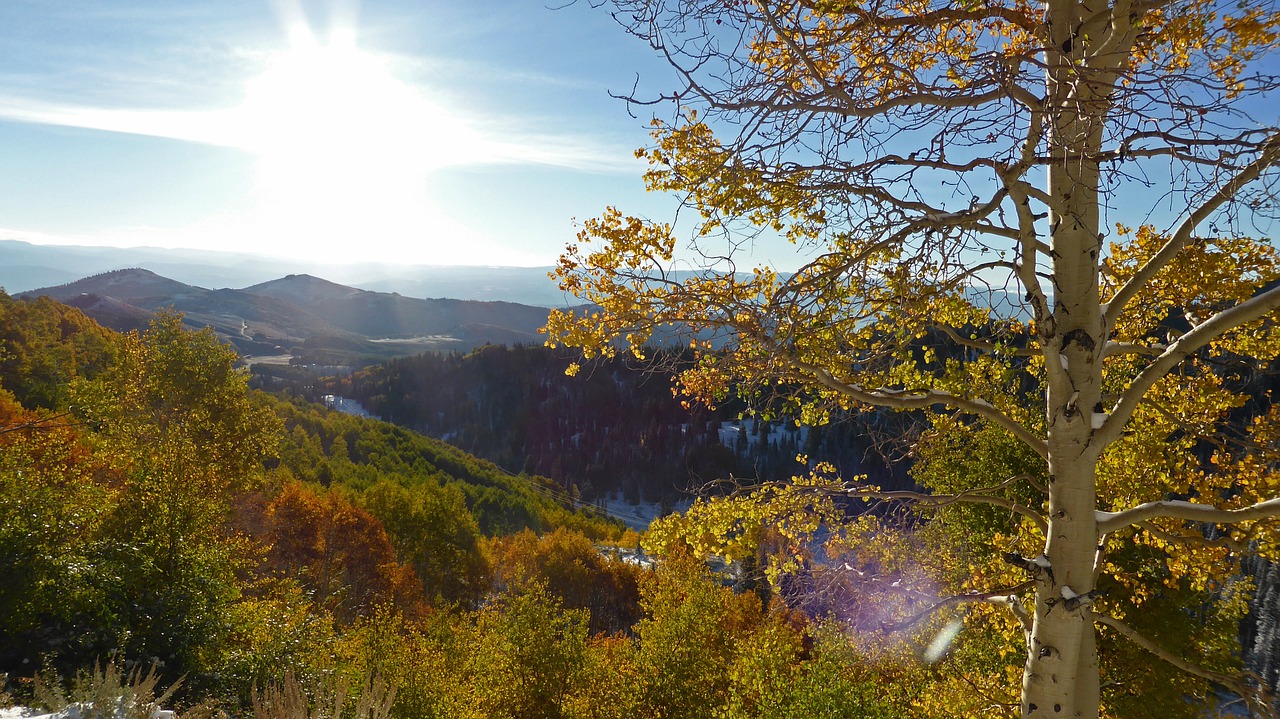 Hillside, Dangus, Kalnas, Kraštovaizdis, Lauke, Scena, Vaizdingas, Saulėtas, Nemokamos Nuotraukos,  Nemokama Licenzija