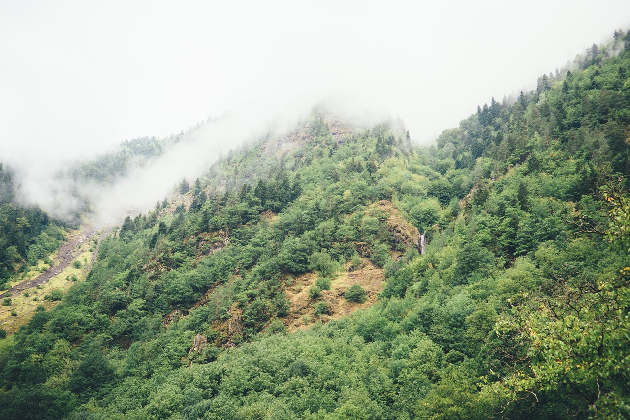 Hillside, Kalnas, Miškas, Medžiai, Nuolydis, Highlands, Lauke, Augmenija, Gamta, Kietas