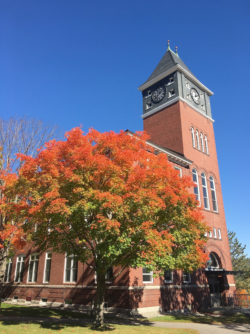 Himmel, Medis, Ruduo, Saulės Šviesa, Plimuto Valstybinis Universitetas, Plymouth, Naujas Hampšyras, Jungtinės Valstijos, Nemokamos Nuotraukos,  Nemokama Licenzija