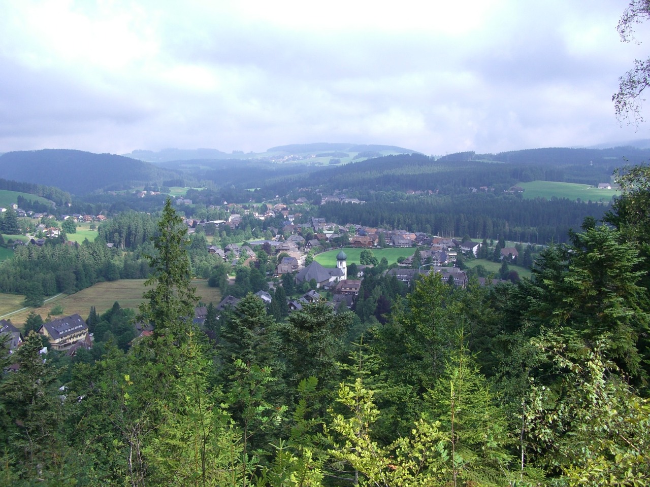 Hinterzarten, Juodasis Miškas, Perspektyva, Eglės, Miškai, Kalnai, Nemokamos Nuotraukos,  Nemokama Licenzija