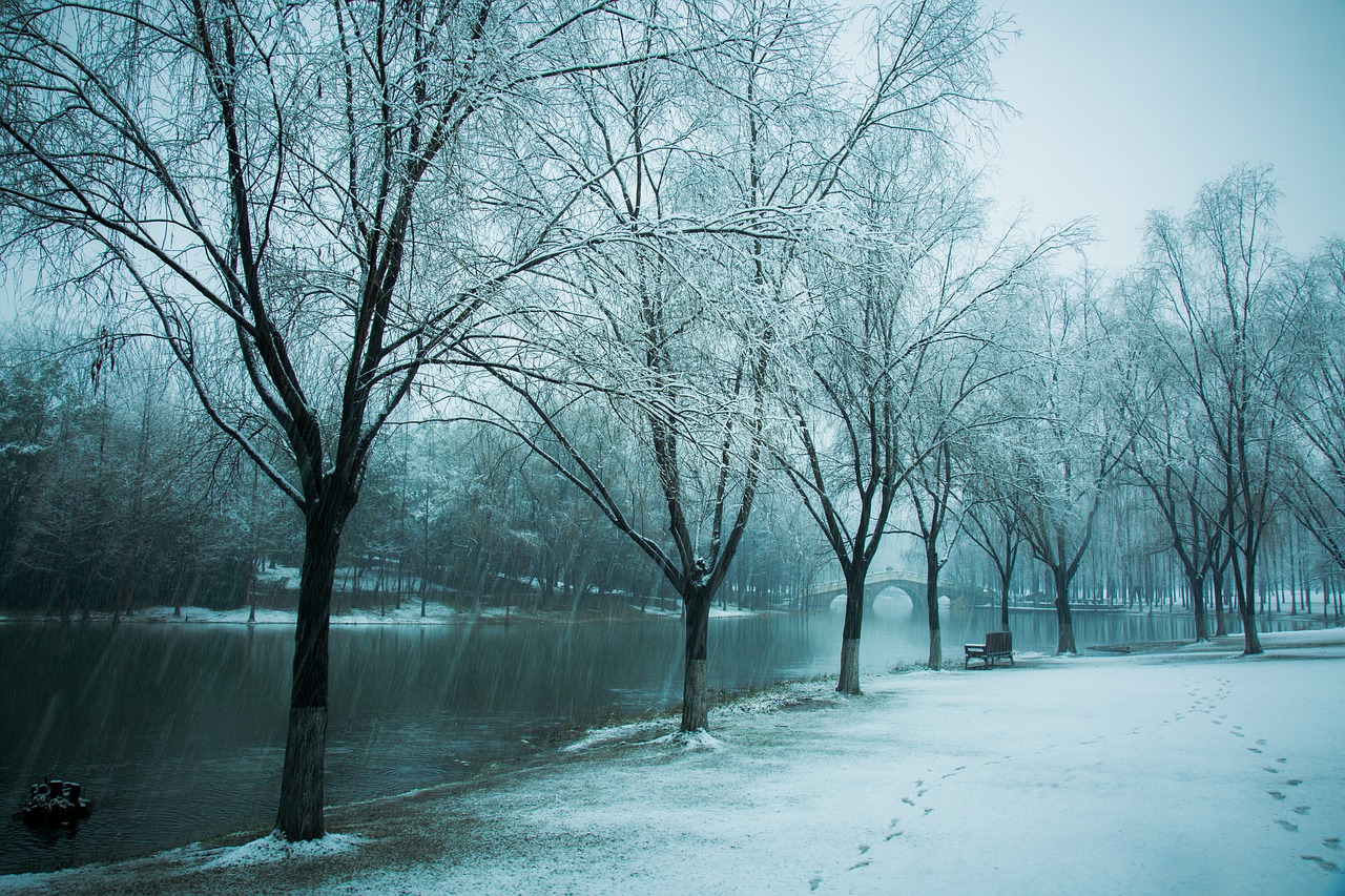 Hiromasa Ežeras, Zhejiang Universitetas, Sniegas, Žiema, Nemokamos Nuotraukos,  Nemokama Licenzija