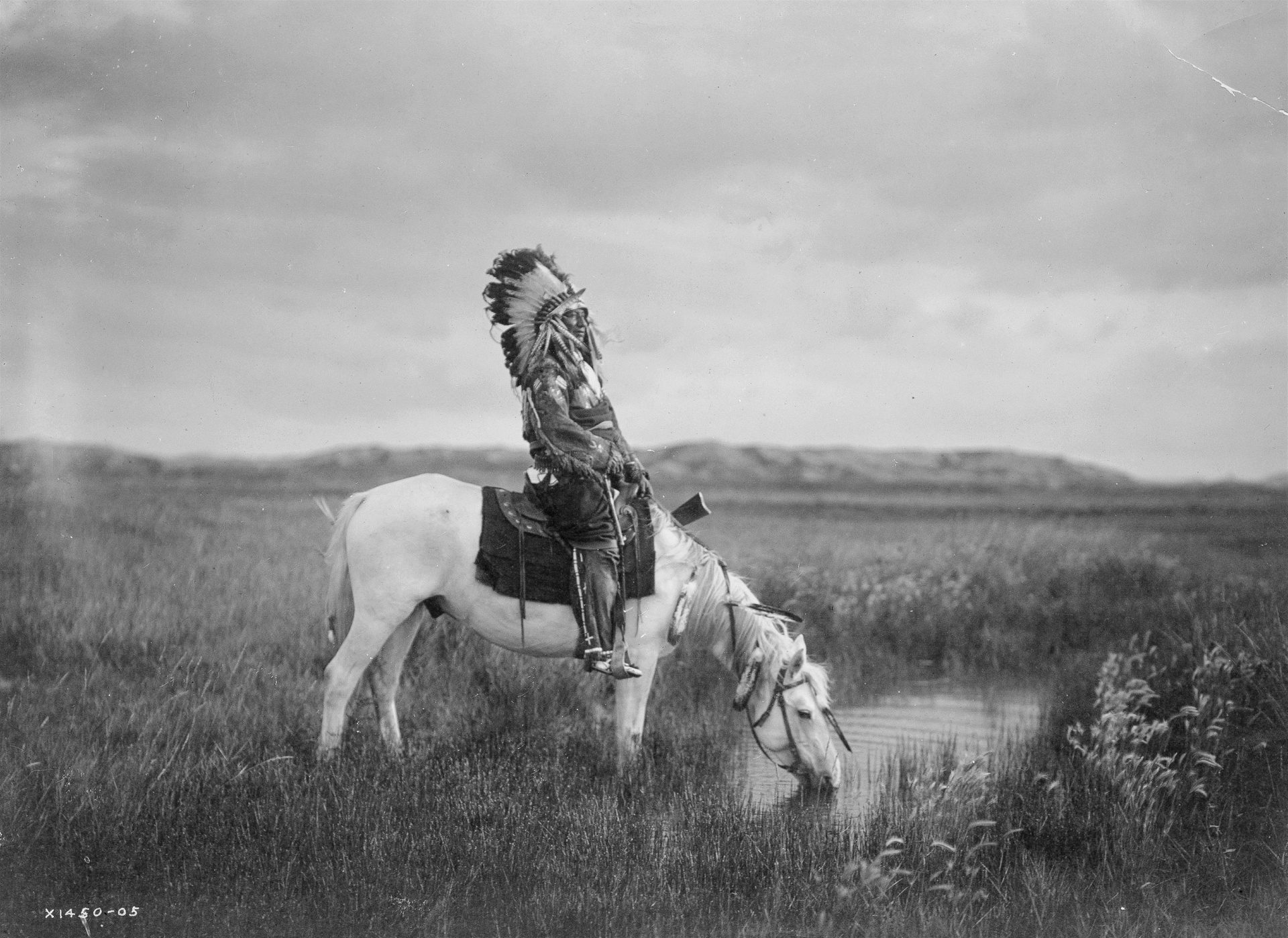 Istorinis,  Indijos,  Amerikietis,  Vyriausiasis,  Arklys,  Gražus,  Vintage,  Skaitmeninis,  Fotografija,  Vaizdas