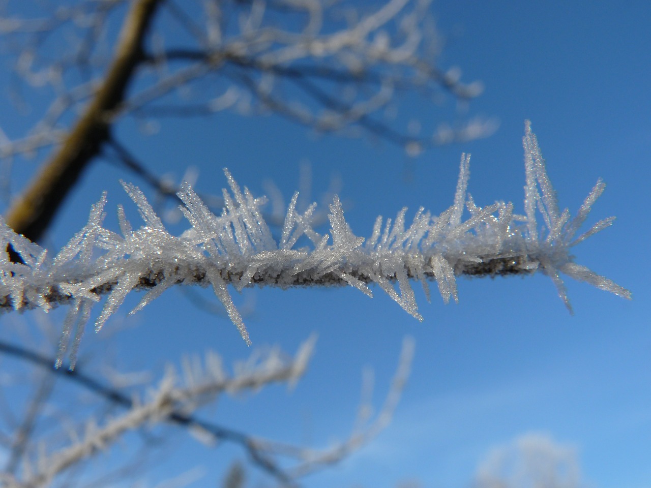 Auskaras, Eiskristalio, Šaltis, Žiema, Šaltas, Sušaldyta, Filialas, Kristalų Formavimas, Uždaryti, Nemokamos Nuotraukos