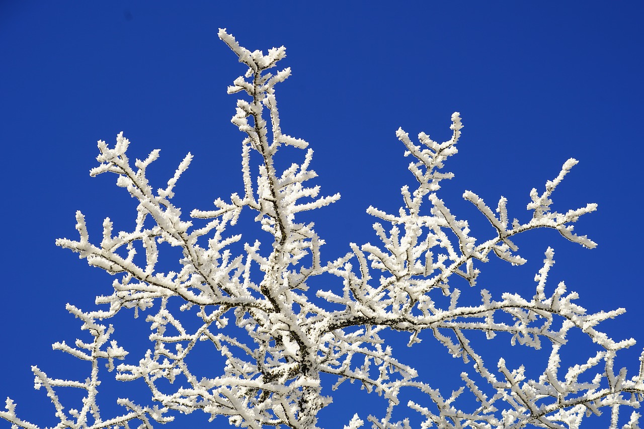 Auskaras, Eiskristalio, Kristalai, Sušaldyta, Žiema, Ledas, Šaltas, Šaltis, Prinokę, Ledinis