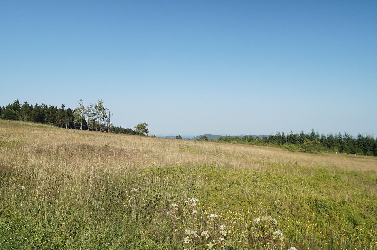 Hochheide, Hsk, Hochsauerland, Winterberg, Kahler-Asten, Pieva, Dangus, Mėlynas, Žalias, Nemokamos Nuotraukos