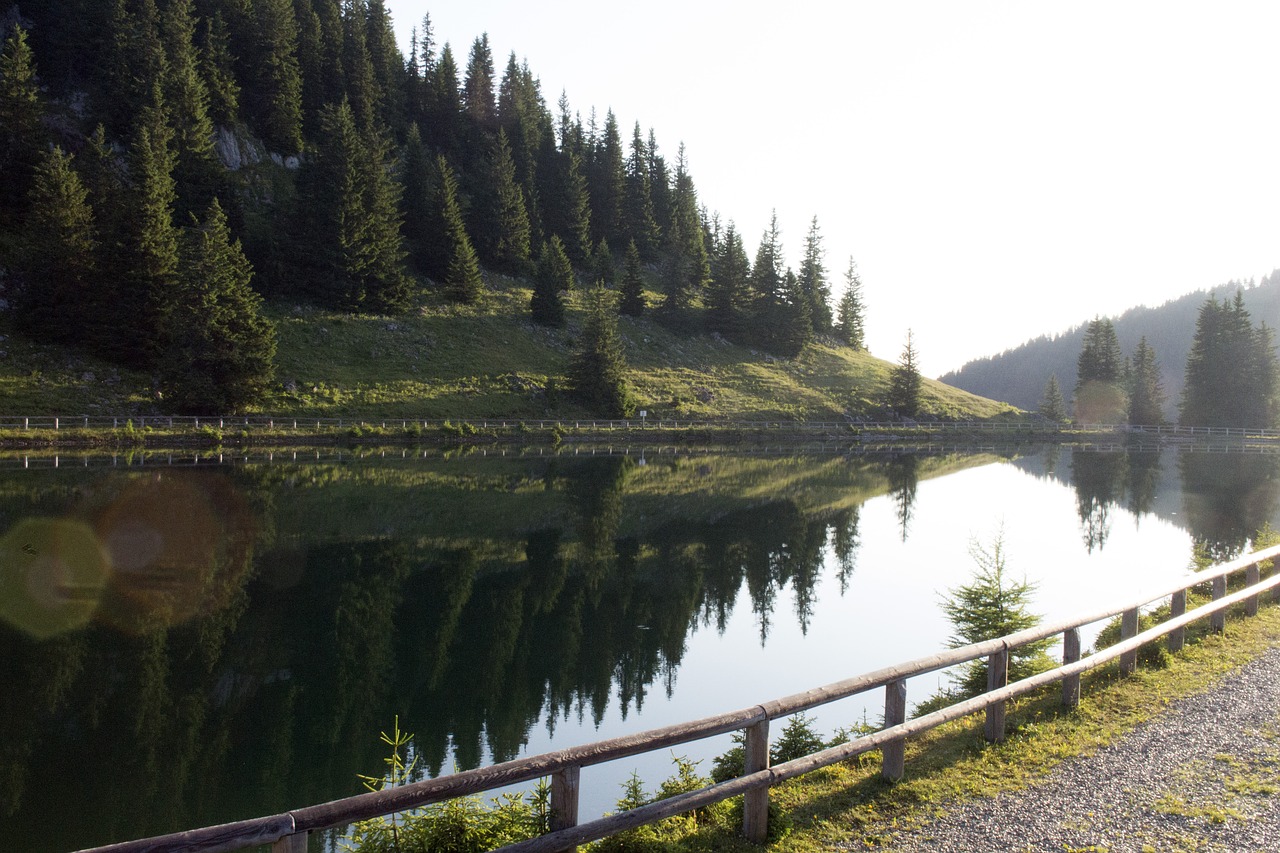 Hochkar, Ežeras, Pušis, Vanduo, Kraštovaizdis, Gamta, Austria, Kalnas, Veidrodinis Vaizdas, Nemokamos Nuotraukos