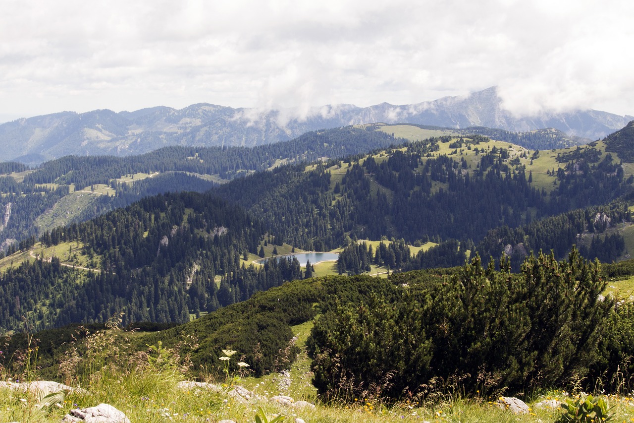 Hochkar, Austria, Vasara, Laukas, Gamta, Augalai, Agra Augalas, Panorama, Vista, Ežeras