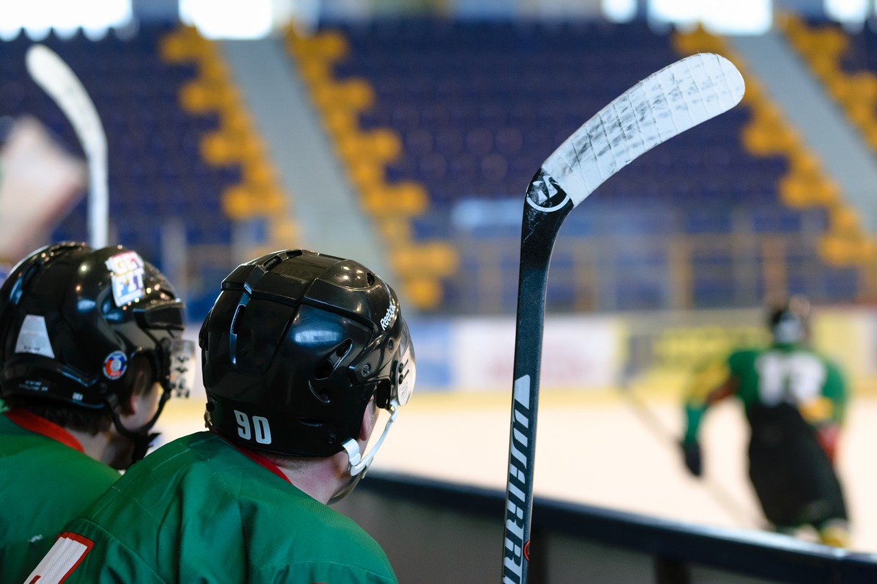 Ledo Ritulio Žaidimas, Stadionas, Ledo Čiuožykla, Salė, Ledas, Sportas, Ledo Ritulio Žaidėjai, Stick, Įvykis, Lygos