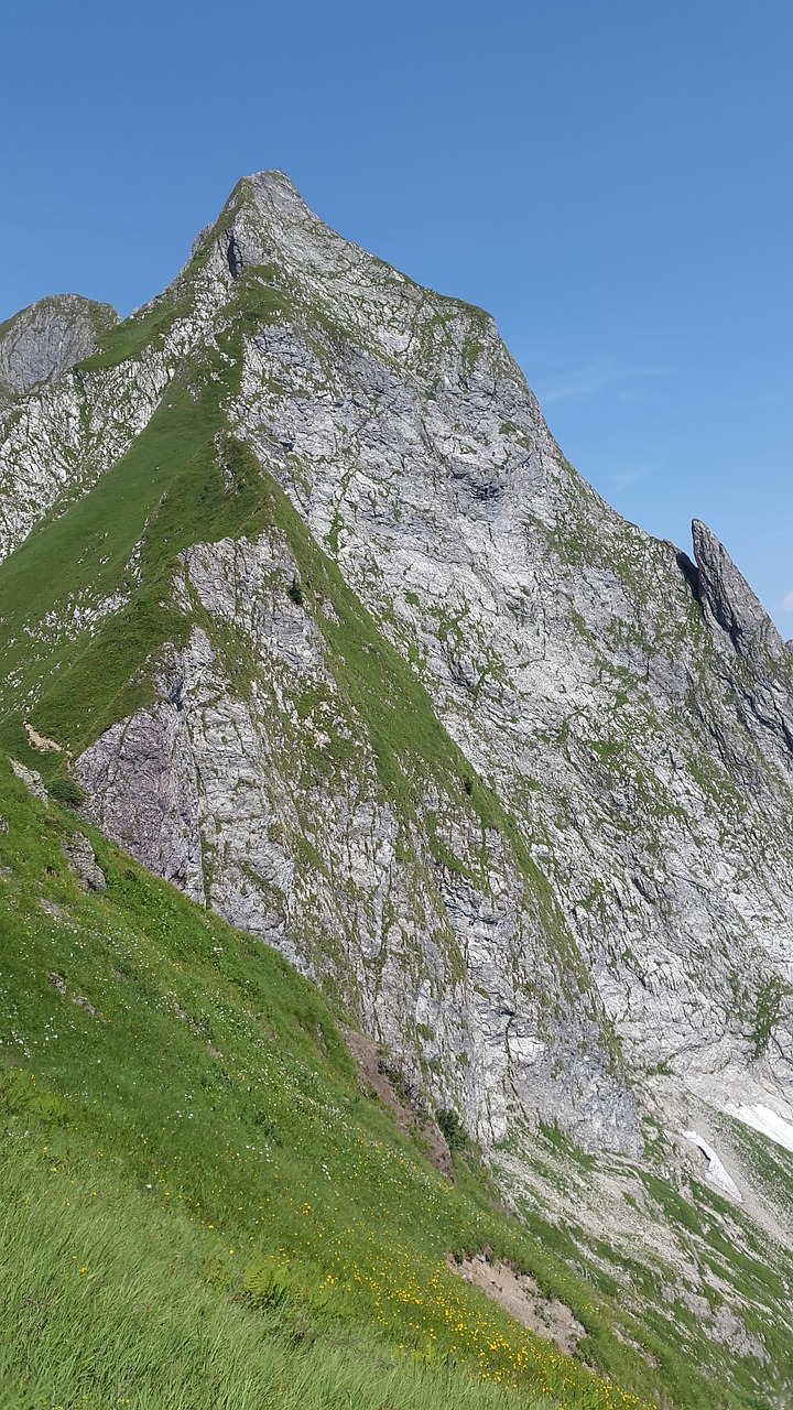 Höfats,  Allgäu,  Grasberg,  Kieta Žolia,  Allgäu Alpės,  Alpių,  Kraštovaizdis,  Oberstdorf,  Aukščiausiojo Lygio Susitikimas,  Idiliškas