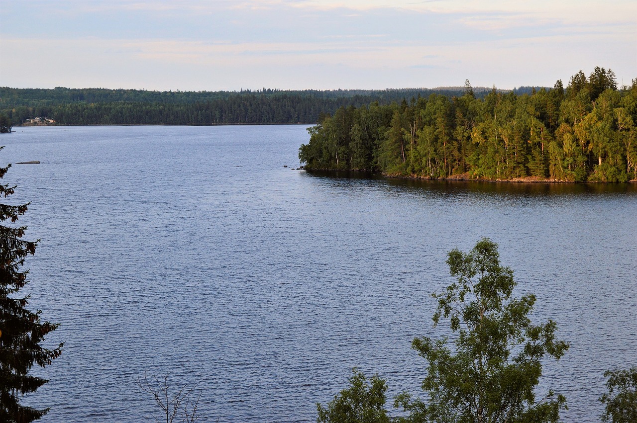 Högakull,  Nacionalinis Parkas,  Rezervas,  Värnamo,  Švedija,  Vakare,  Vasara,  Pobūdį,  Peizažai,  Vandens