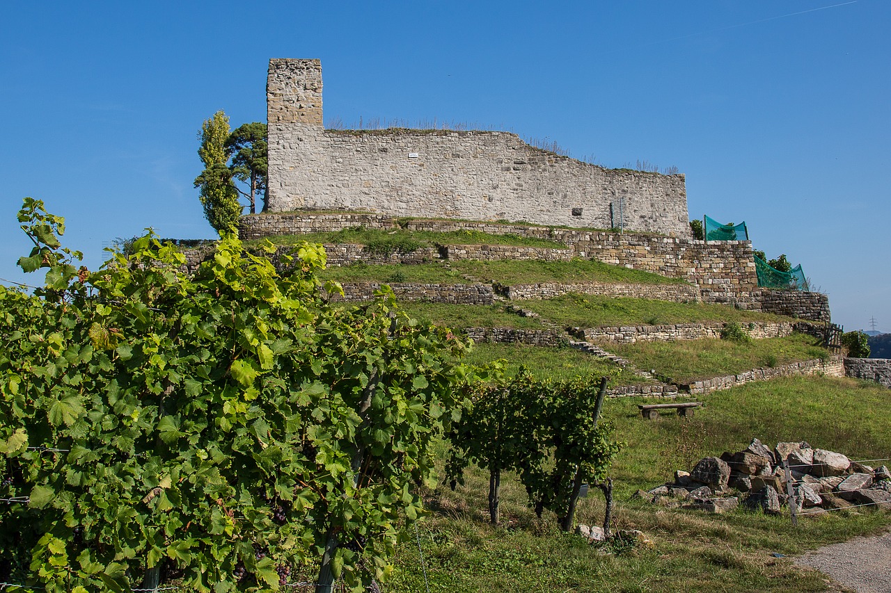 Kupranugaris, Henkeko Pilis, Liudvigsburgo Vokietija, Pilis, Baden Württemberg, Istoriškai, Sugadinti, Nemokamos Nuotraukos,  Nemokama Licenzija